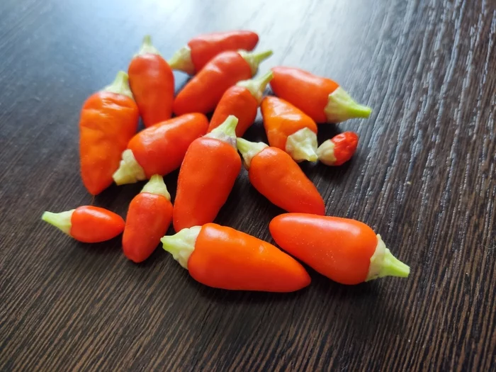 My mini harvest! - My, Pepper, Harvest, The photo