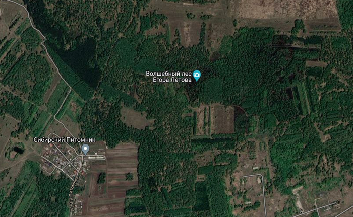 ��� ������, ��� ����� ������