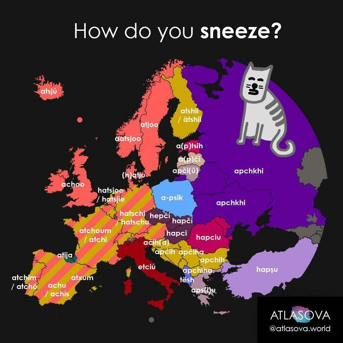 How do you sneeze? - Cards, Sneeze