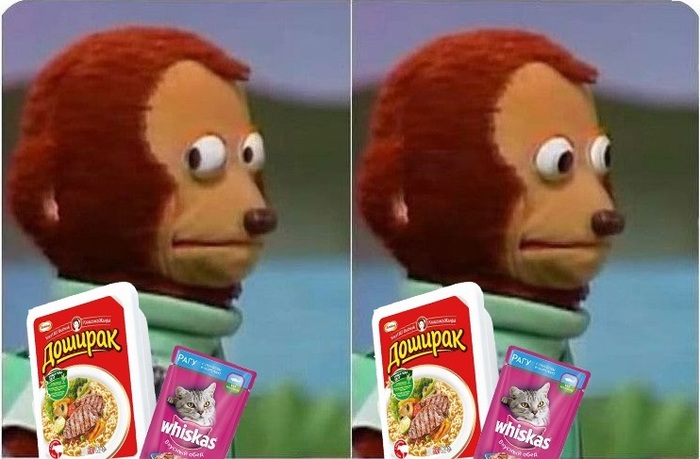 ����� zorgred � ��� � ��