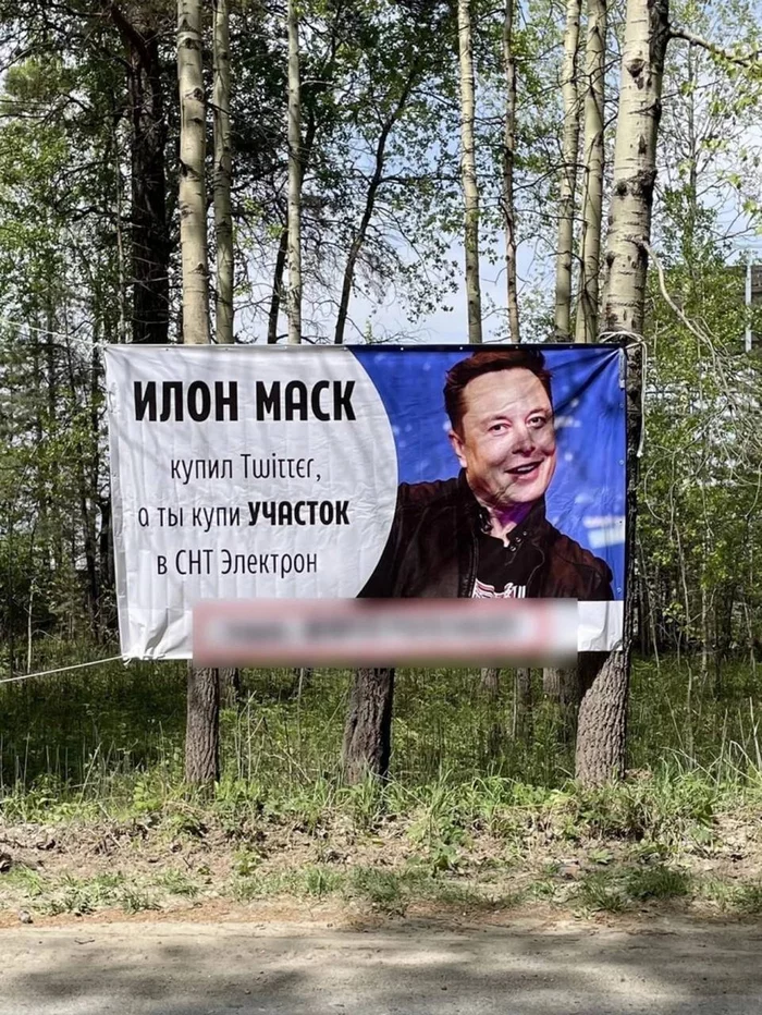 Be cool like Elon Musk - Outdoor advertising, Garden associations, Elon Musk, Buy, Plot, Twitter