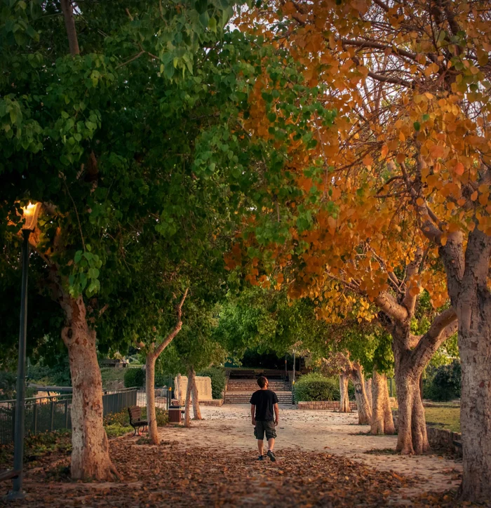 Between summer and autumn... - My, The photo, Canon, Landscape, I want criticism