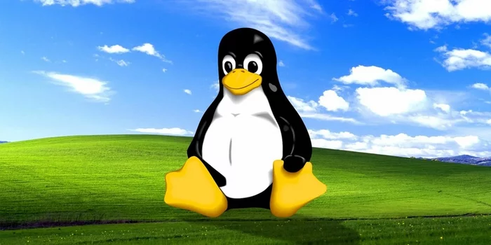 Linux XP Desktop - breathe in a piece of Windows(a) - My, Linux, Linux and Windows, Fedora, Windows XP, Vista, Windows, Gnome, Computer, Computer help, Operating system, Unix, Notebook, Fedora, Qt, Installation, Overview, Opinion, Point of view, Insomnia, Longpost