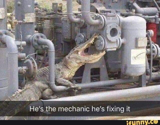 This is our mechanic. He fixes it - Mechanic, Crocodiles, Repair, Humor, The photo, Picture with text