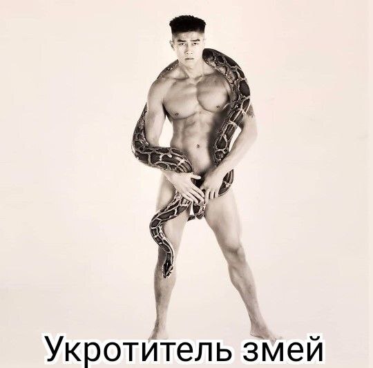 Мем - Моё, Gachimuchi, Мемы, Dank Memes, Van, Ван Даркхолм