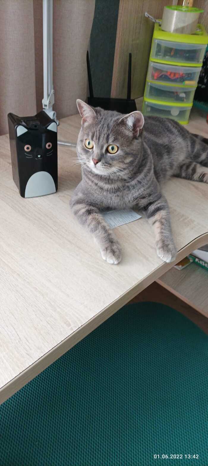 Да ну нахер!