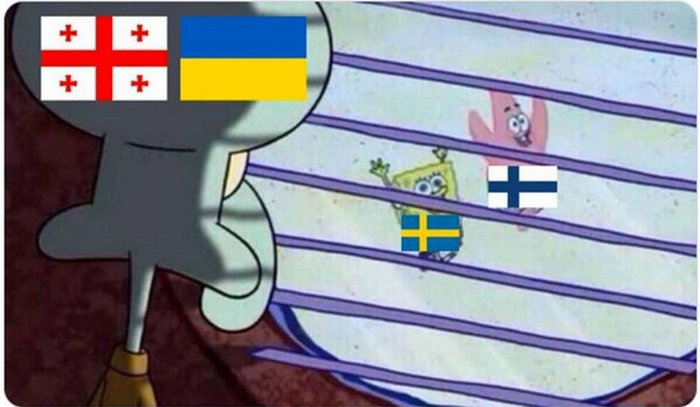 Грузия и Украина смотрят как Швеция и Финляндия присоединяются к НАТО