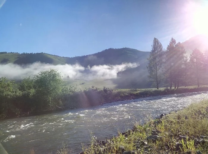 Altai, morning, July 2017 - My, Altai region, River, Summer, Fog, Morning, Meizu m1 Note, The photo