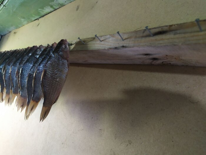 Сделал приблуду для сушки рыбы. Удобно