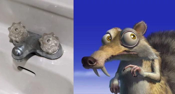 Just the spitting image - Faucet, Squirrel, Scratch, ice Age, The photo, Similarity, Pareidolia