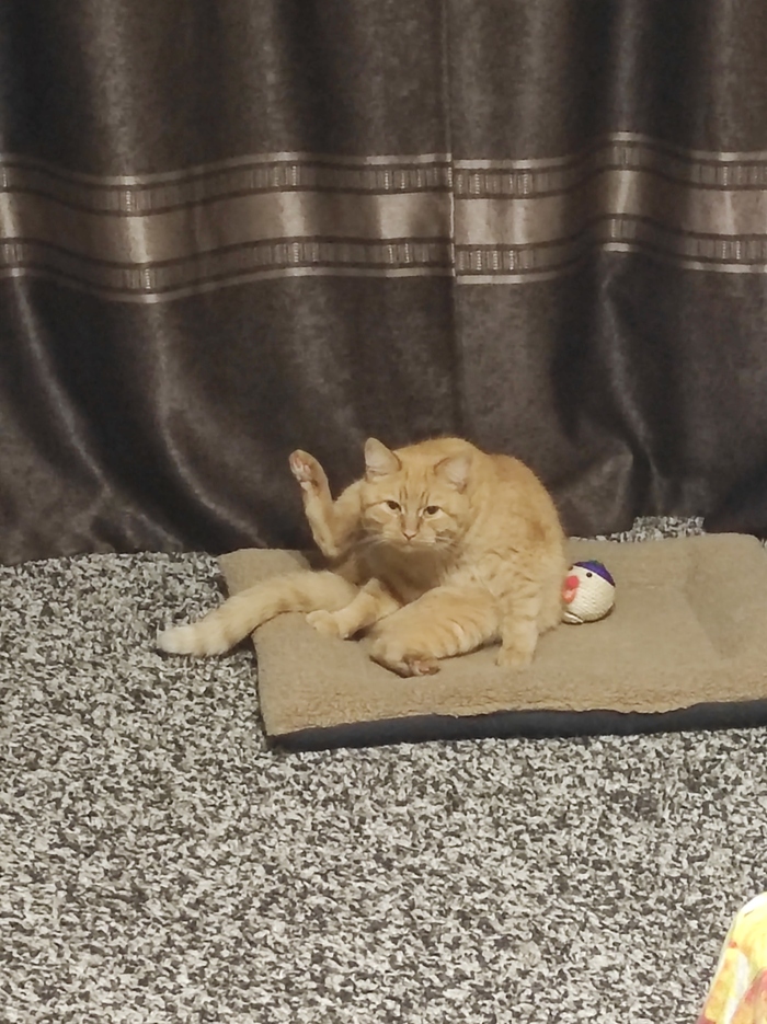 �������!