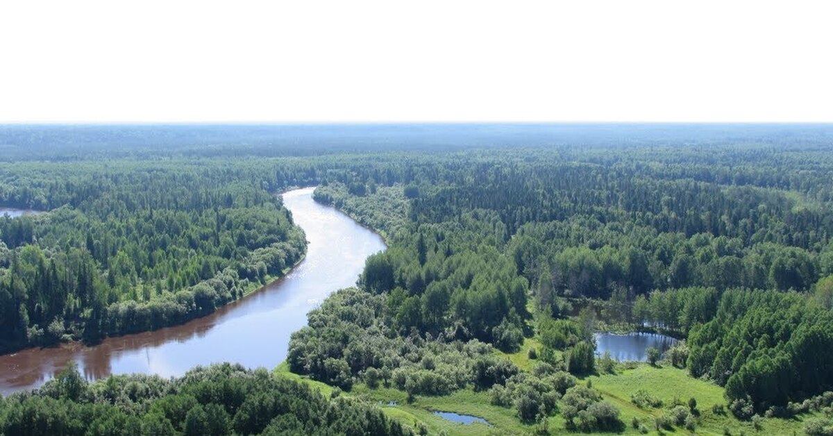 Западно сибирская равнина реки