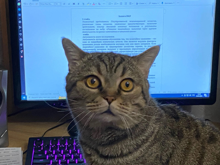 ��� ������ ��� ��������� ������