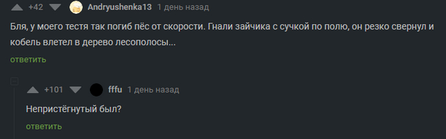 Скорость это опасно - Комментарии на Пикабу, Юмор, Черный юмор, Скриншот, Мат