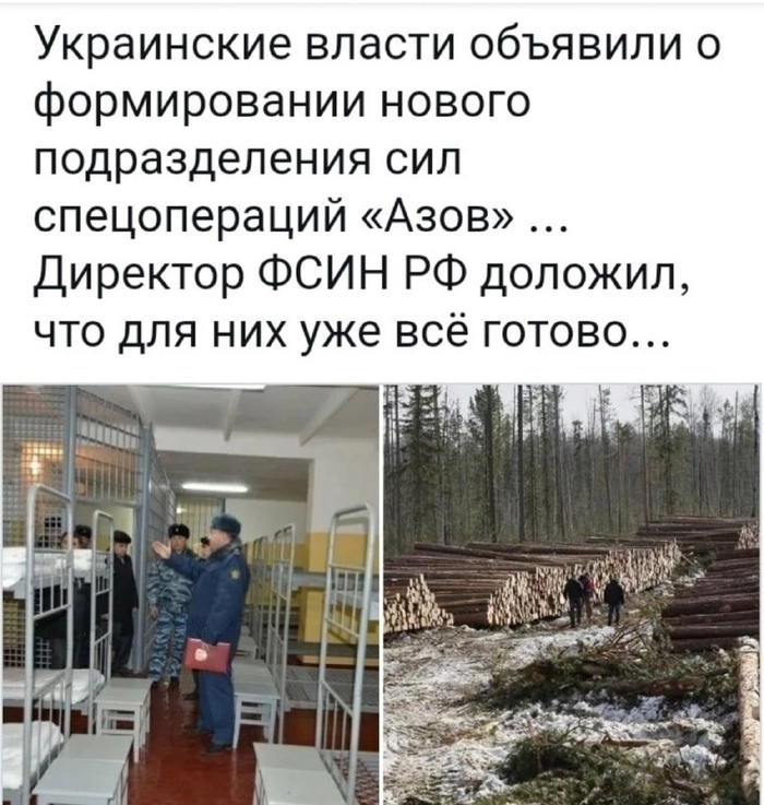 Из Сибири с любовью