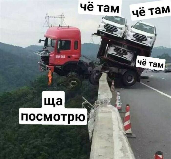 Любопытство