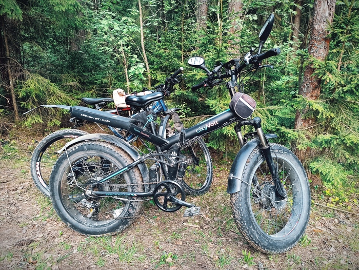  Electricbikes OxyVolt & Mongoose     , , , , , , 