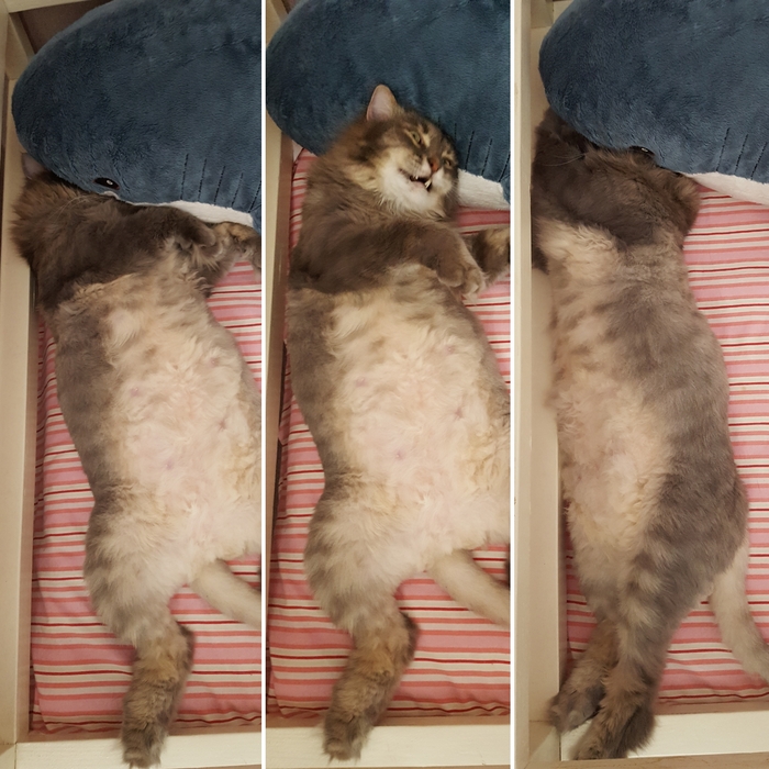 - Ну дай поспать, что ли!