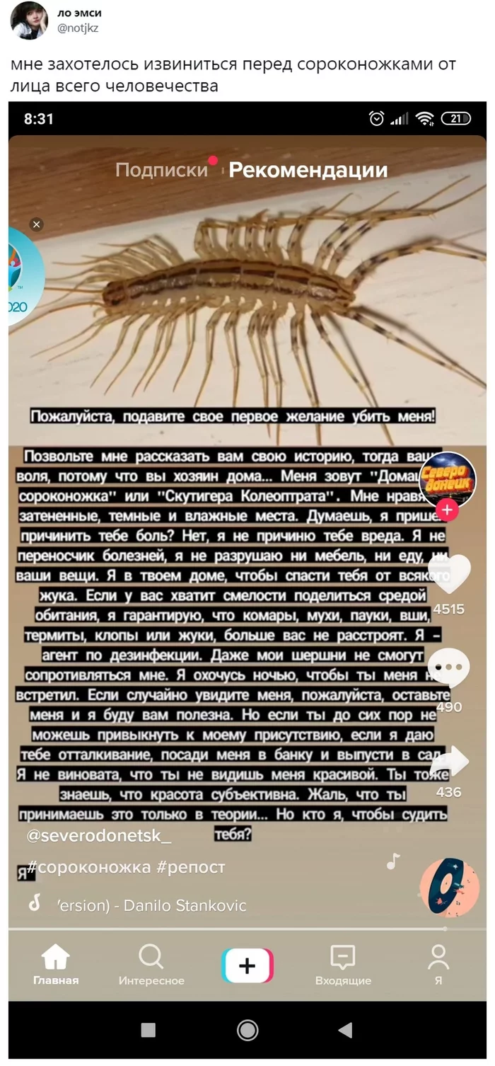 Forgive me centipede :( - Insects, House insect, Centipede, Longpost, Flycatcher, Screenshot