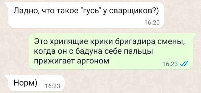 Как корабль назовёшь... - Моё, Юмор, Странный юмор, Переписка, Whatsapp, Профессия, Тонкий юмор, Абсурд, Анекдот, Длиннопост