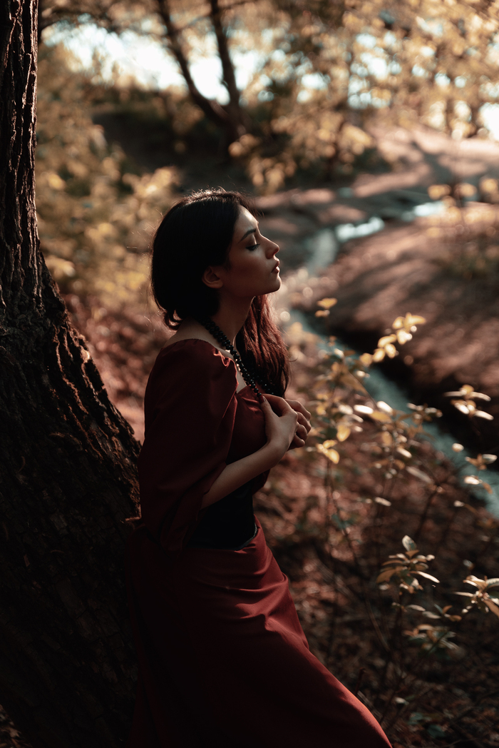 Вечер в лесу