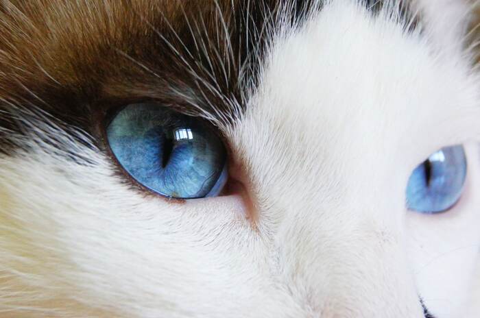 ������ �������, ��� ����� -� ��� ����� ���������