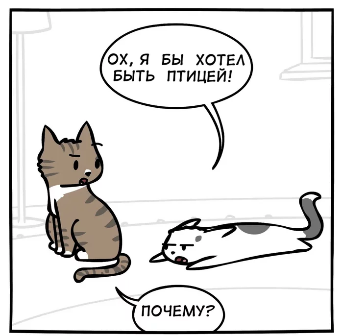 The main thing is to believe in yourself! - Comics, Sveninframes, cat, Humor, Insects, Лампа, Translated by myself, Longpost