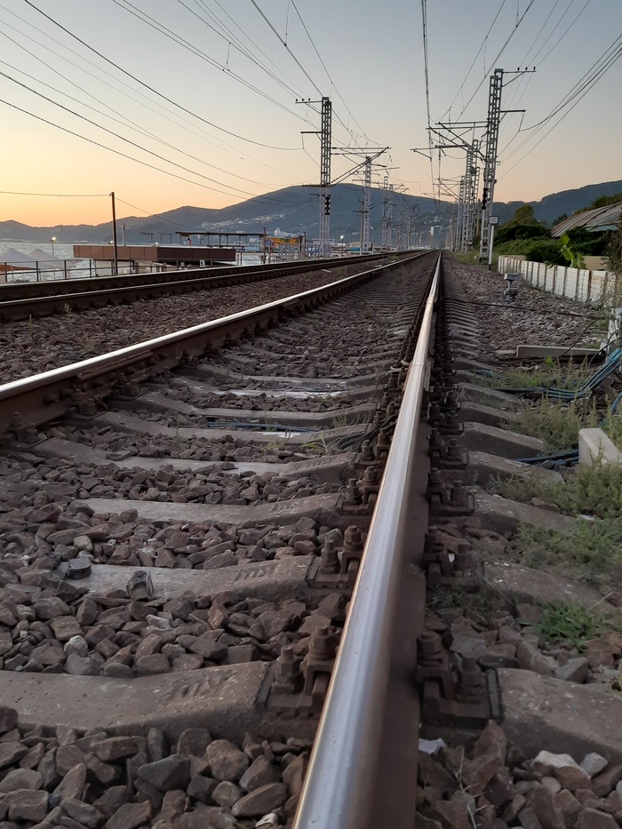 ׸���� ����. �.�. ��������