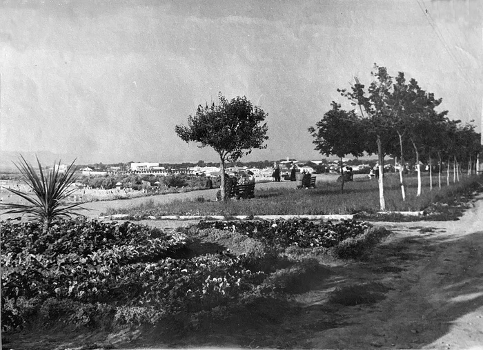 New embankment in Anapa. - Old photo, the USSR, 50th, Story, Anapa, Embankment