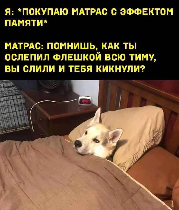 Again, do not sleep half the night - Games, Mattress, Humor, Memory, Husky, Picture with text