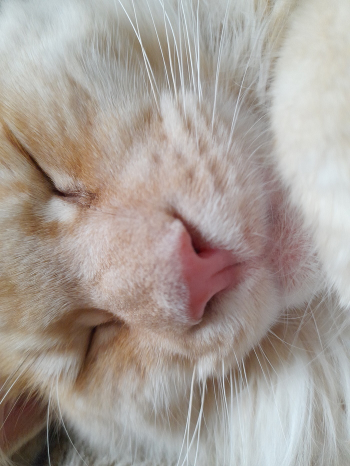    , -, , ,  , 