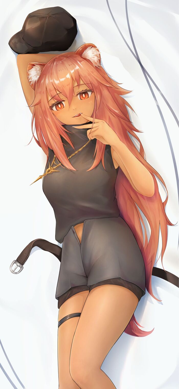 Arknights operators , Anime Art, Arknights, Texas (Arknights), Hibiscus, Blaze, Gravel, Beeswax, Hoshiguma, Dusk (Arknights), Angelina (Arknights), , Animal Ears