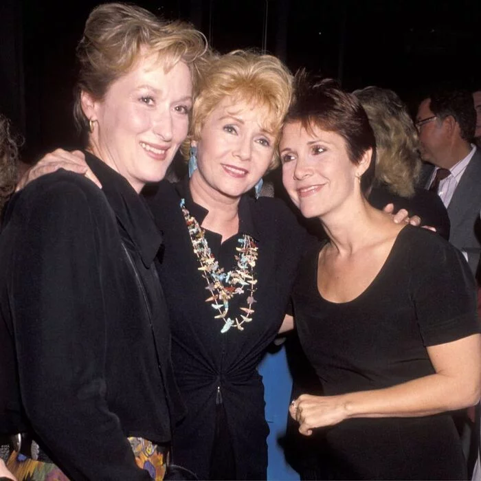 Premiere of the film Postcards from the edge of the abyss, September 10, 1990 - Actors and actresses, Celebrities, Meryl Streep, Carrie Fisher, Meg Ryan, Movies, Hollywood, Dennis Quaid, Sharon Stone, James Woods, Longpost