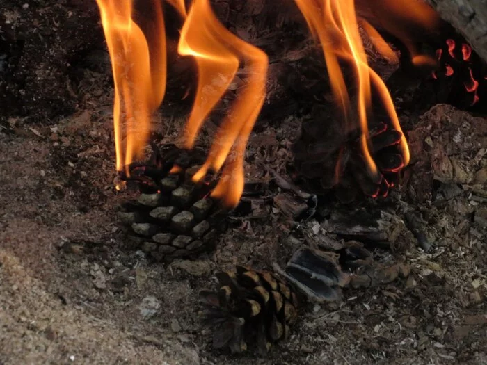 cones - My, The photo, Cones, Bonfire, Fire