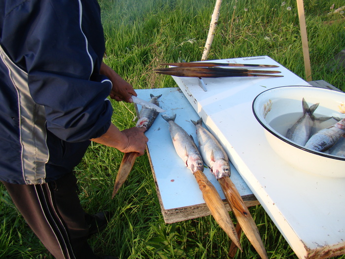 Байкальский вариант блюда "Рыба на рожне" - омуль Приготовление, Рыба, Готовка на костре, Байкал, Длиннопост
