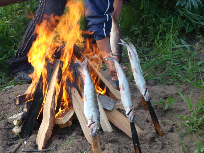 Байкальский вариант блюда "Рыба на рожне" - омуль Приготовление, Рыба, Готовка на костре, Байкал, Длиннопост