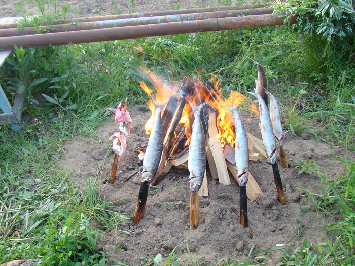 Байкальский вариант блюда "Рыба на рожне" - омуль Приготовление, Рыба, Готовка на костре, Байкал, Длиннопост