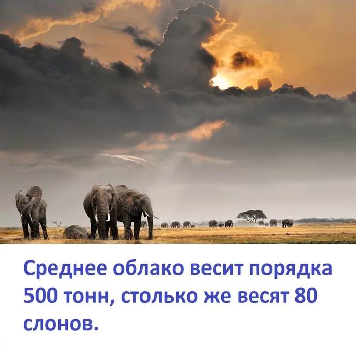 How much does a cloud weigh - Facts, About everything in the world, Clouds, Elephants