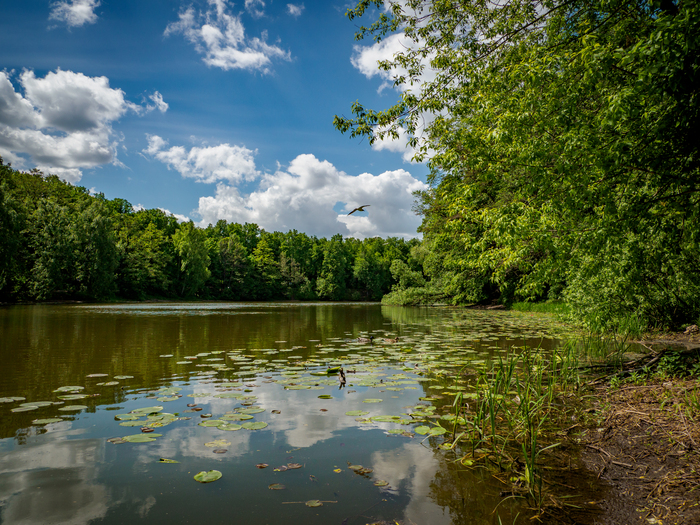 Парк Кузьминки