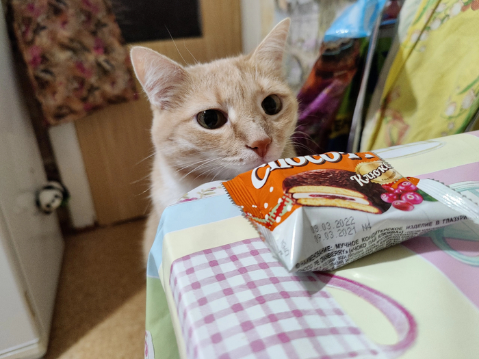  , ? ** , Choco Pie, 