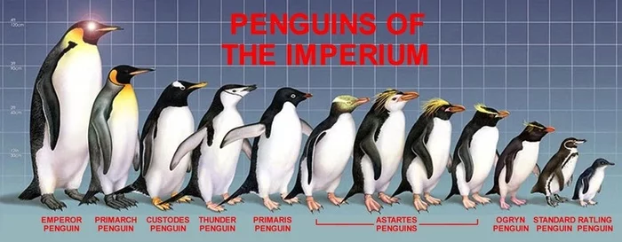 emperor penguin - Warhammer 40k, Imperium, Wh humor, Warhammer, Astra Militarum, Adeptus Astartes