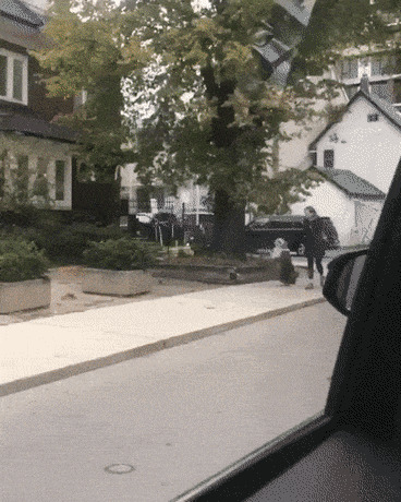      , , , 