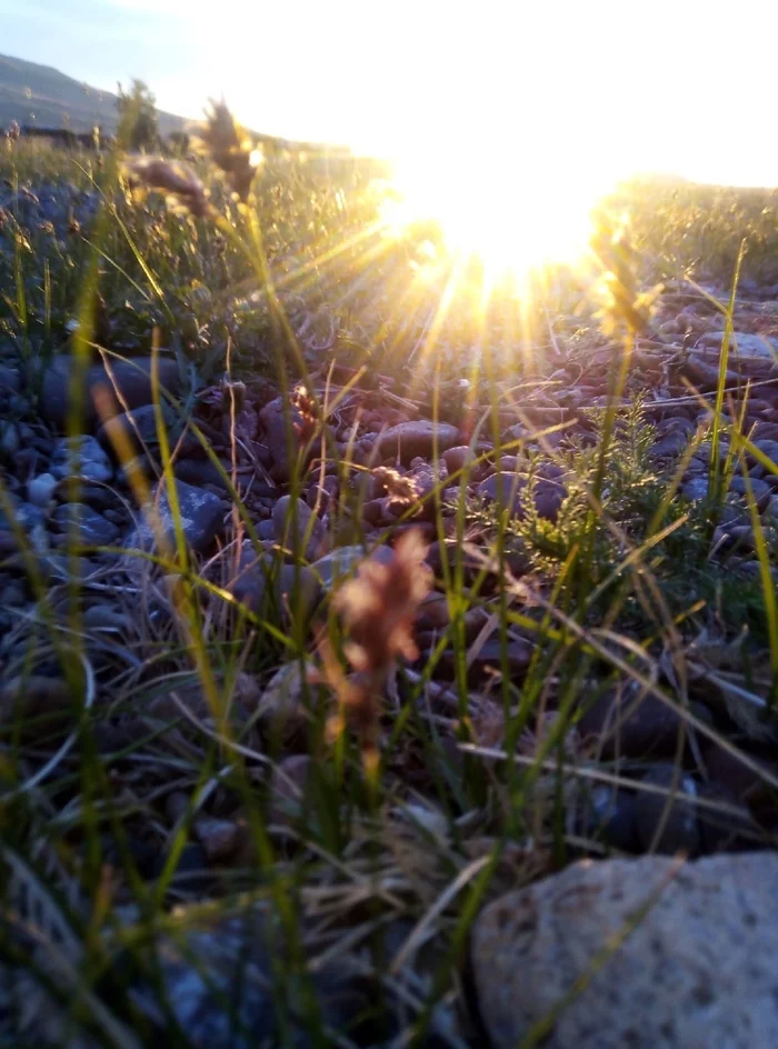 Sun - My, Mobile photography, The sun, A rock, Grass, Morning