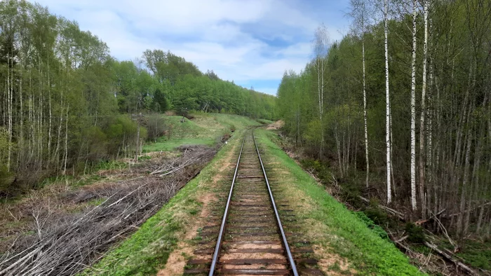 A trip along the reserved railway Kuvshinovo - Ostashkov. - My, Railway, Travels, A train, Russian Railways, Public transport, Tver region, Wilderness, Longpost