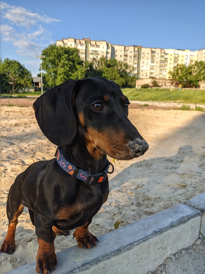 �������-��