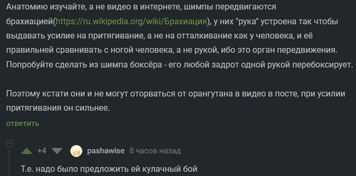 Как добавить картинку в пост пикабу