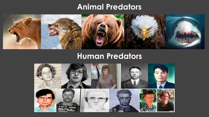 Types of predators - Predatory animals, Serial killings, Maniac, Mass killings