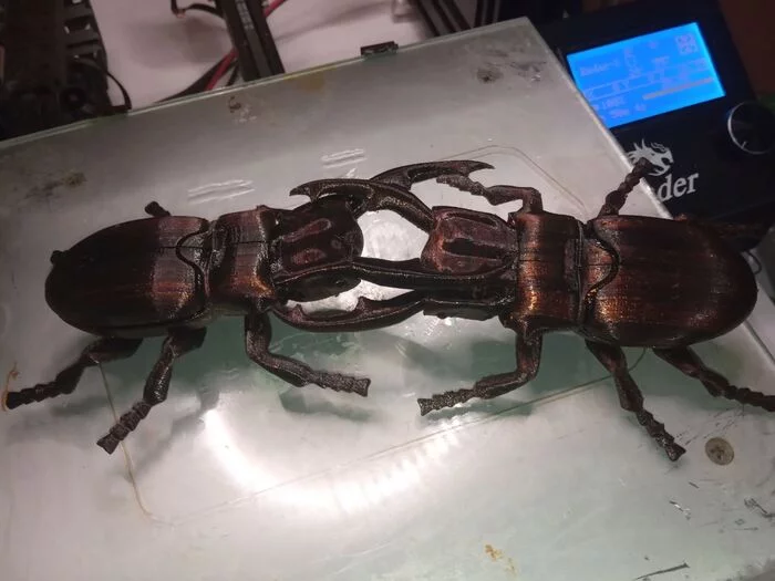 Stag beetle from beer bottles on a 3D printer - My, With your own hands, 3D печать, Homemade, PET, Waste recycling, Bottle, Machine, Plastic bottles, 3D printer, Needlework without process, Video, Deer Beetle, Longpost