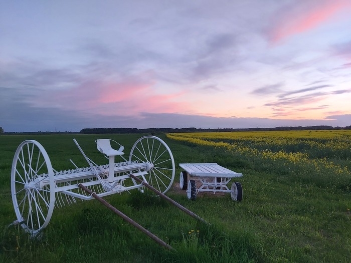 ������ � ������