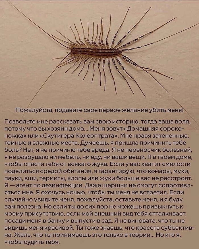 Душевная история, даже стало их очень жаль…